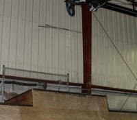joey ollies tbog